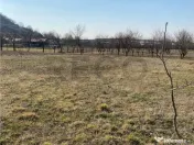 RECO Teren intravilan in zona Alesd Sat Subpiatra 800mp 
