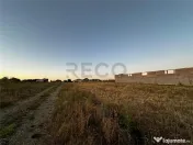 RECO Teren intravilan in Cheriu 1.232mp 