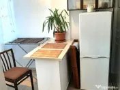 Baia Mare Chirie | Garsoniera mobilata utilata Zona RFN 