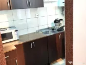 Baia Mare Chirie | Garsoniera mobilata utilata Zona RFN 