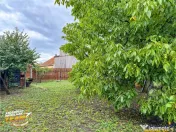 FILM3D! Casa ospitaliera,curte si gradina asortata,arie lini 