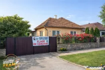 FILM3D! Casa ospitaliera,curte si gradina asortata,arie lini