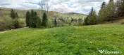 Poienita 2800mp, Covasna, zona hotel Clermont, inconjurat... 
