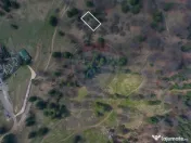 Teren intravilan – Poiana Mică | Investiție ideală! 