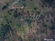 Teren intravilan – Poiana Mică | Investiție ideală! 