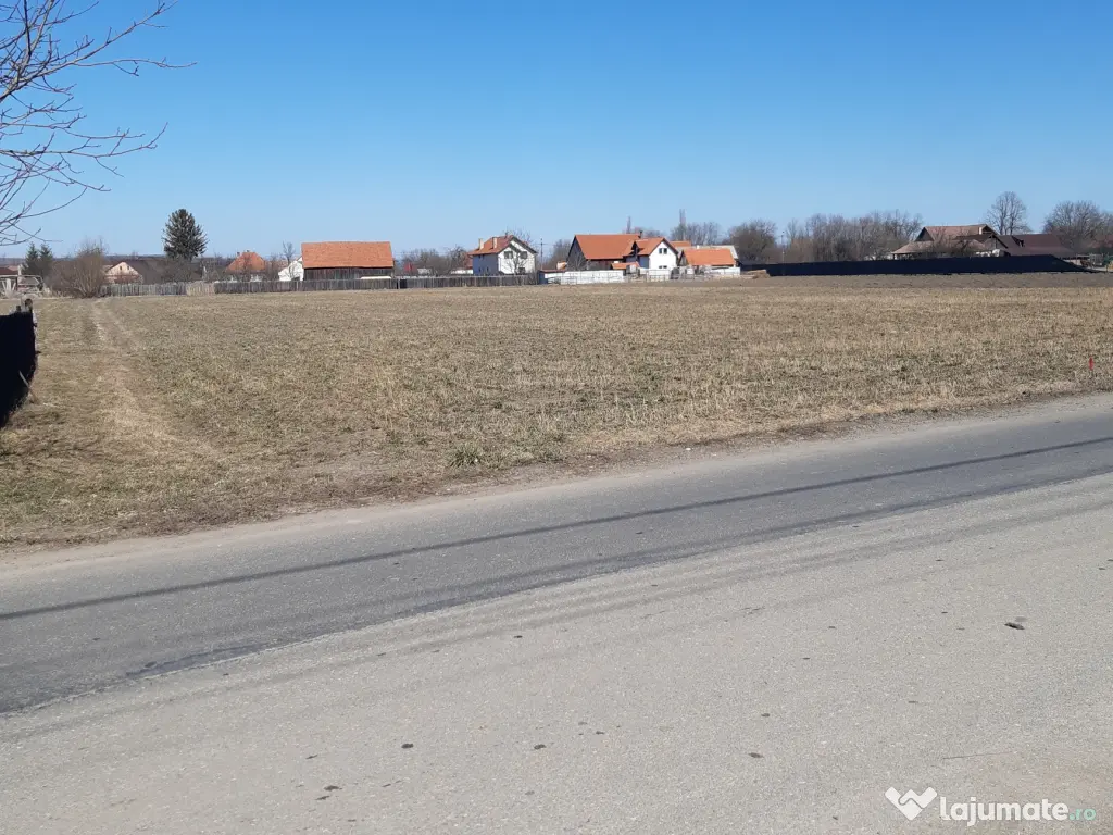 Teren intravilan construibil utilitati asfalt central Lunca Calnicului 2325mp