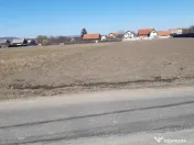 Teren intravilan construibil utilitati asfalt central Lunca Calnicului 