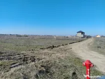 Teren extravilan, Cârcea, 988 mp