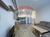 Apartament cu 2 camere de închiriat, The Lake Home