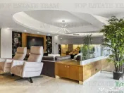 Vila spectaculoasa Floreasca, Arhitectura moderna - Design 