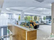 Vila spectaculoasa Floreasca, Arhitectura moderna - Design 