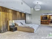 Vila spectaculoasa Floreasca, Arhitectura moderna - Design 