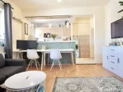 DOROBANTI, CAPITALE-LONDRA, STUDIO COCHET, MOBILAT COMPLET 