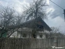 Gospodarie 2 Case cu teren 5000mp comuna Roești, sat Băjenari