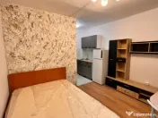 Camera de camin tip garsoniera,cu baie proprie,et2,renovata,cu chirias 