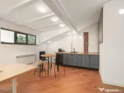 COTROCENI-GRADINA BOTANICA STUDIO LA CHEIE, 33 MP! 