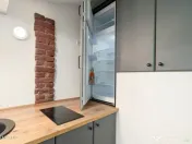 COTROCENI-GRADINA BOTANICA STUDIO LA CHEIE, 33 MP! 