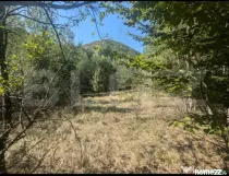 Teren extravilan de vanzare, 3.5 ha padure + pasune in Comun