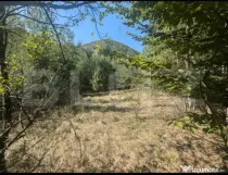 Teren extravilan de vanzare, 3.5 ha padure + pasune in Comun