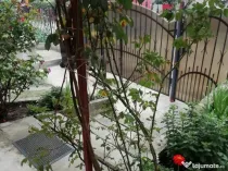 Vând casă cu gradina oportunitate SI de investiție turistica de sezon