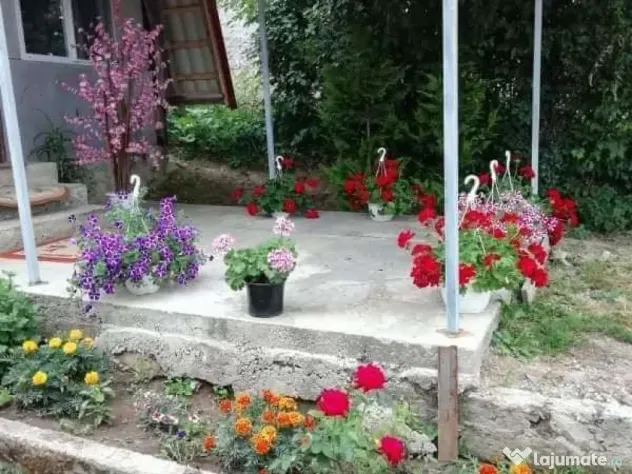 Vând casă cu gradina oportunitate SI de investiție turistica de sezon