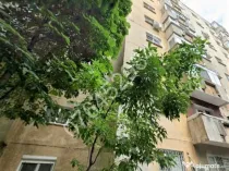 Apt. 2cam. Tineretului,Calea Vacaresti,5min metrou Timpuri Noi,parcare