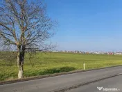 Teren de vanzare in Agigea, Varianta Agigea Techirghiol - 25000 mp 