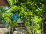 CATALOI - CASA 3 CAMERE, SUPRAFATA 76,50 MP, TEREN 2250 MP 