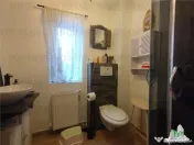 Casa spatioasa cu gradina, cartier Green City, comuna 1 Dece 