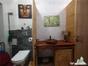 Casa spatioasa cu gradina, cartier Green City, comuna 1 Dece 