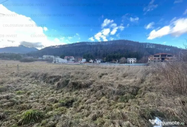 Teren intravilan, cu certificat de urbanism - Bunloc/Sacele