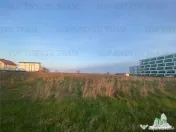 Teren intravilan construibil 18000 mp Costinesti, Constanta 