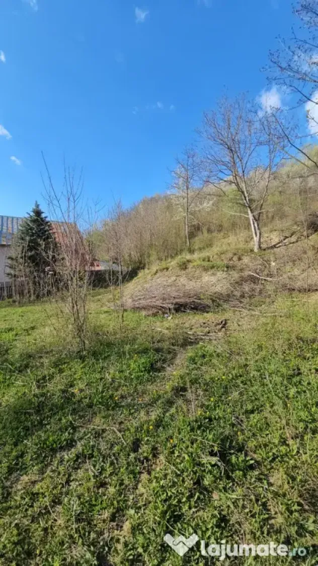 BREBU – intravilan 1800 mp, deschidere 29 ml, doar 16.900