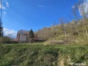 BREBU – intravilan 1800 mp, deschidere 29 ml, doar 16.900 