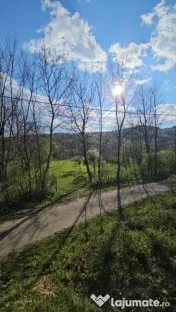 BREBU – intravilan 1800 mp, deschidere 29 ml, doar 16.900 