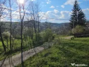 BREBU – intravilan 1800 mp, deschidere 29 ml, doar 16.900 