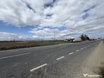 Teren 9,431mp Bizighesti / DJ 205E