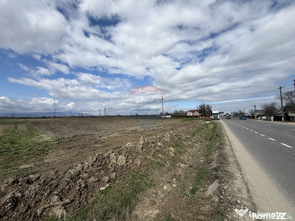 Teren 9,431mp Bizighesti / DJ 205E - Bizighesti (Vrancea)