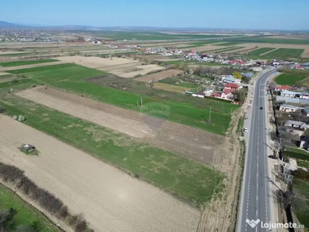 Teren 9,431mp Bizighesti / DJ 205E