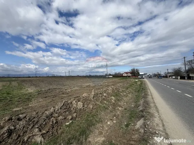 Teren 9,431mp Bizighesti / DJ 205E
