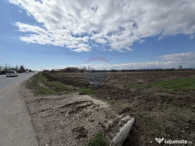 Teren 9,431mp Bizighesti / DJ 205E