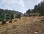 Teren extravilan 11.480 mp cu potențial intravilan – Trâ