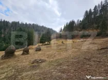 Teren extravilan 11.480 mp cu potențial intravilan – Trâ