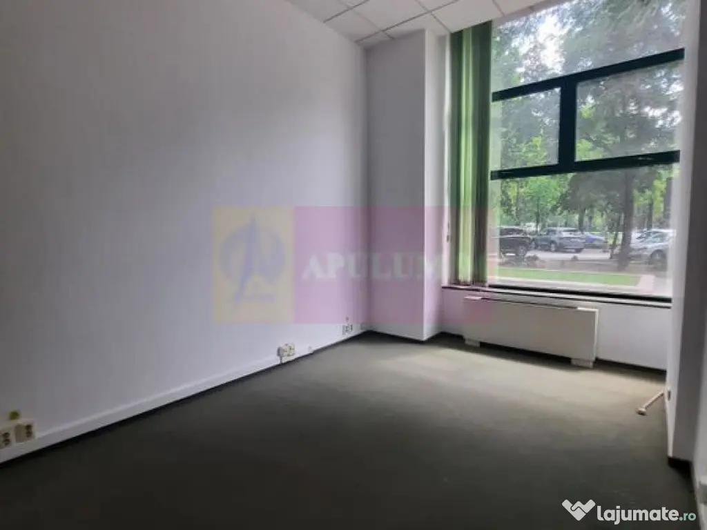 Inchiriere spatiu comercial bd Unirii, vitrina 25ml, stradal