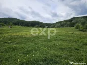 Teren 11,935mp Margineni / Strada Dubas 