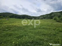 Teren 11,935mp Margineni / Strada Dubas