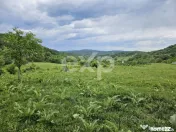 Teren 11,935mp Margineni / Strada Dubas
