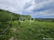 Teren 11,935mp Margineni / Strada Dubas 