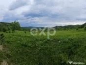 Teren 11,935mp Margineni / Strada Dubas 