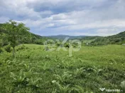 Teren 11,935mp Margineni / Strada Dubas 